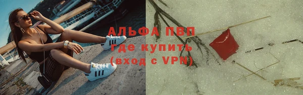 гашик Алексин