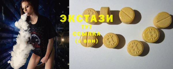 гашик Алексин