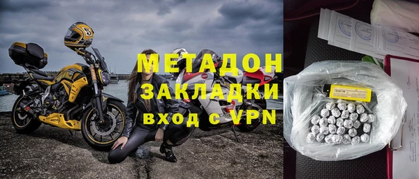 гашик Алексин