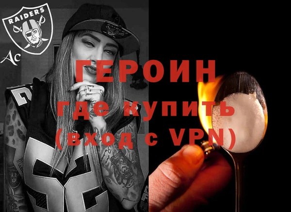гашик Алексин