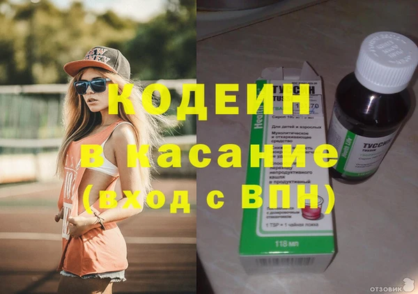 гашик Алексин