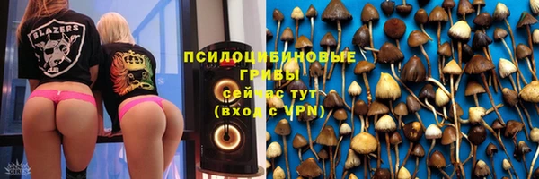гашик Алексин