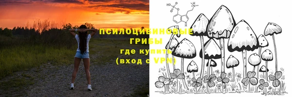прущий лед Алзамай